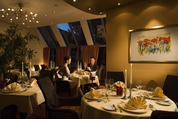 Wellnesshotel Heinz (Höhr-Grenzhausen - Höhr)